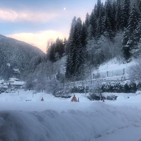 Holidays Dolomiti Apartment Resort Carisolo Dış mekan fotoğraf