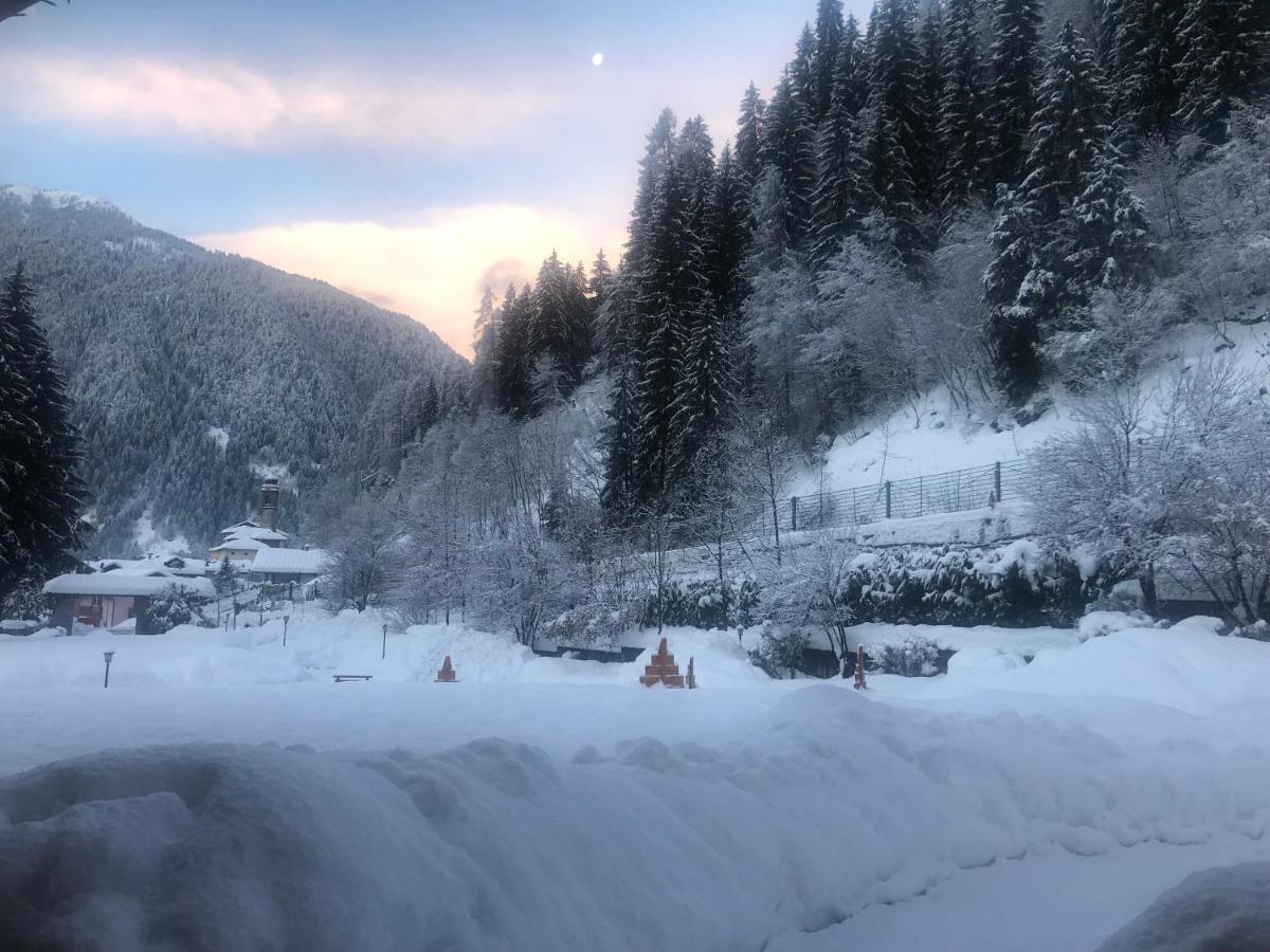 Holidays Dolomiti Apartment Resort Carisolo Dış mekan fotoğraf